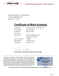 Sample Mold Inspection Report