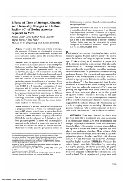 (C) of bovine anterior segment in vitro.