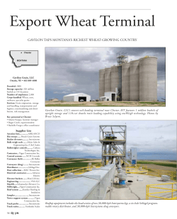 Export Wheat Terminal - Cultura Technologies