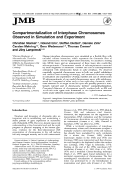 Compartmentalization of Interphase Chromosomes Observed in