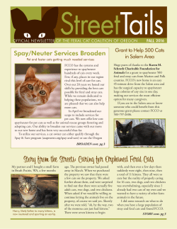 Fall 2016 - Feral Cat Coalition of Oregon