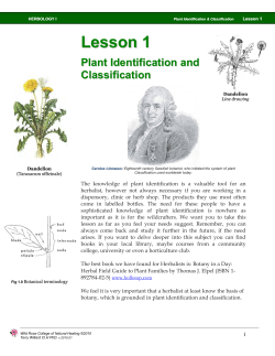 herbology i - Wild Rose College of Natural Healing