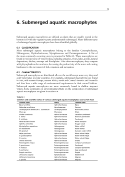 6. Submerged aquatic macrophytes
