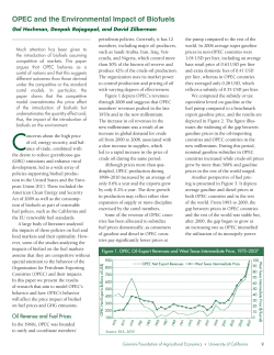 OPEC and the Environmental Impact of Biofuels