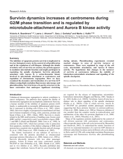 Survivin dynamics increases at centromeres during G2/M phase