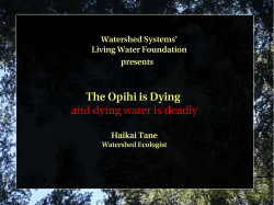 The Opihi is Dying and dying water is deadly