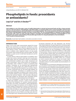 Phospholipids in foods: prooxidants or antioxidants?