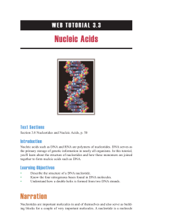 Nucleic Acids