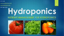 NUTRIENT MANAGEMENT FOR HYDROPONICS