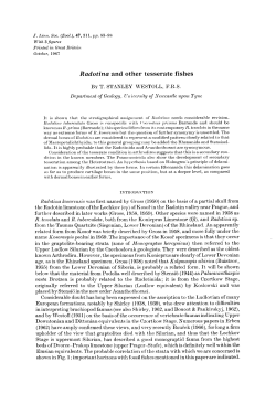Radotina and other tesserate fishes