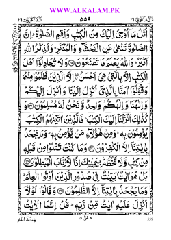 Para # 21