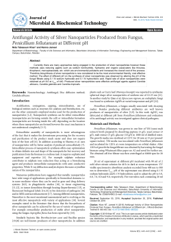 Antifungal Activity of Silver Nanoparticles Produced from Fungus
