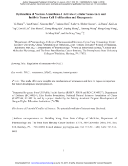 Dysfunction of Nucleus Accumbens