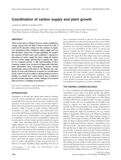 Coordination of carbon supply and plant growth