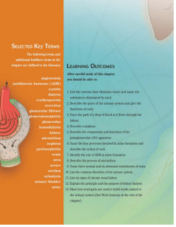 23. ch 22(432-452) THE URINARY SYSTEM