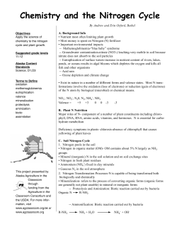 Chemistry and the Nitrogen Cycle