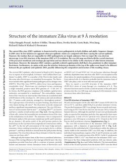 Structure of the immature Zika virus at 9 A resolution