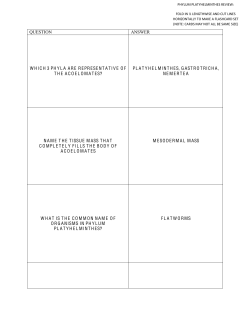 PLATYHELMINTHES STUDY HELPER CARDS(COPY)