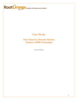 How Generic Domain Names Impact a SEM Campaign