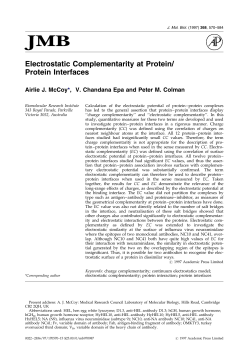 Electrostatic Complementarity at Protein/ Protein Interfaces