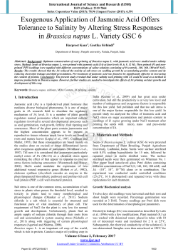 Exogenous Application of Jasmonic Acid Offers Tolerance to Salinity