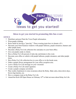 Ideas to get you started!