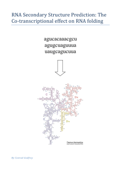 RNA secondary structure prediction