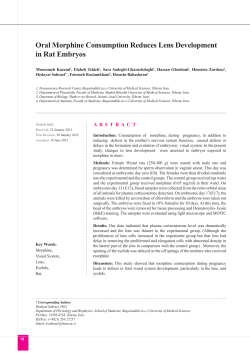 Oral Morphine Consumption Reduces Lens Development in Rat