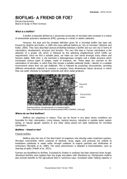 BIOFILMS- A FRIEND OR FOE?