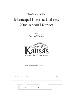 Third Class Municipal Electric Annual Report