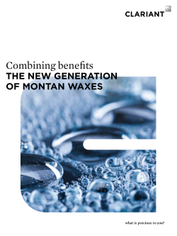 Combining benefits &ndash; The New generation of Montan waxes