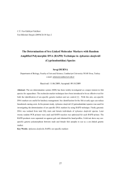 The Determination of Sex-Linked Molecular Markers with Random