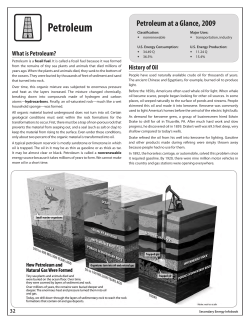 Petroleum Article