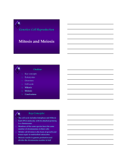 Mitosis and Meiosis