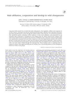 Male affiliation, cooperation and kinship in wild chimpanzees