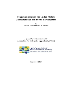 - Association for Enterprise Opportunity