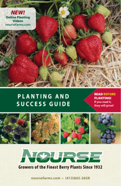 planting and success guide