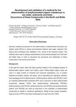 Executive summary, PDF -File, 1221 MB