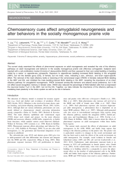 pdf - FSU Psychology - Florida State University