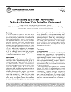 Evaluating Spiders for Their Potential To Control Cabbage