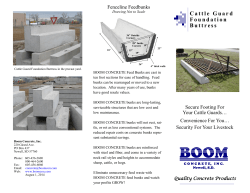 Cattle Guard Foundation Buttress