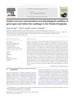 Feather mercury concentrations and physiological condition of great