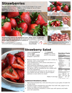 Strawberries - Greater Pittsburgh Community Food Bank