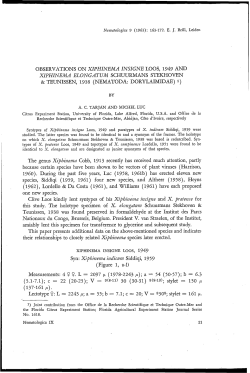 Observations on Xiphinema insigne Loos, 1949 and Xiphinema