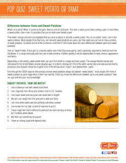 POP QUIZ: SWEET POTATO OR YAM?