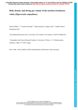 Body density and diving gas volume of the northern bottlenose