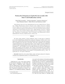 Pentacyclic Triterpenes in Euphorbia