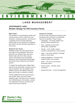 Shelter belt design - hill country