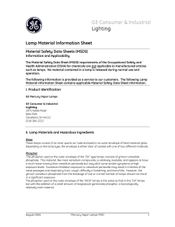Lamp Material Information Sheet - Chem