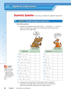 Algebraic Expressions 3.1